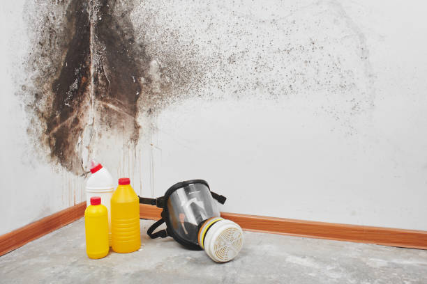 Best Crawl Space Mold Removal  in Marion, IL