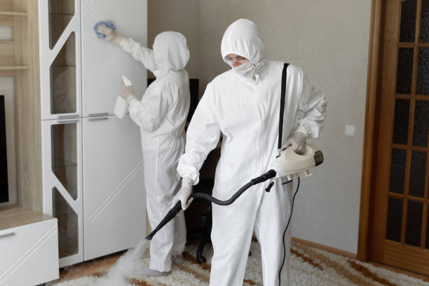 Best Mold Remediation Experts  in Marion, IL