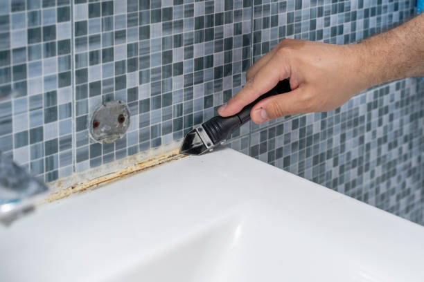 Home Mold Removal in Marion, IL